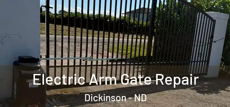 Electric Arm Gate Repair Dickinson - ND