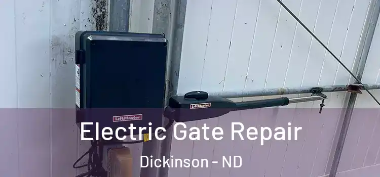  Electric Gate Repair Dickinson - ND