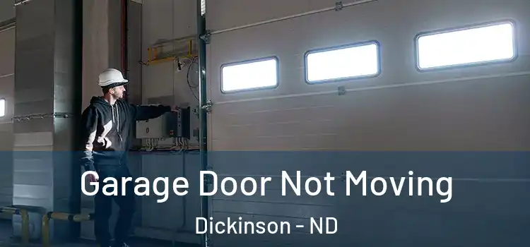 Garage Door Not Moving Dickinson - ND