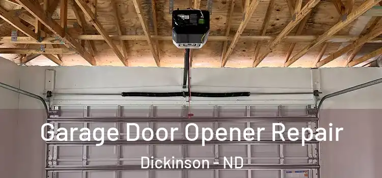  Garage Door Opener Repair Dickinson - ND
