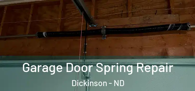  Garage Door Spring Repair Dickinson - ND