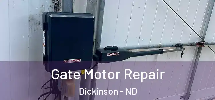 Gate Motor Repair Dickinson - ND