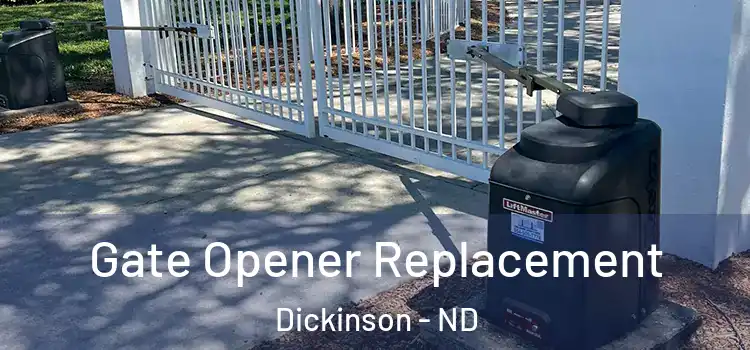 Gate Opener Replacement Dickinson - ND