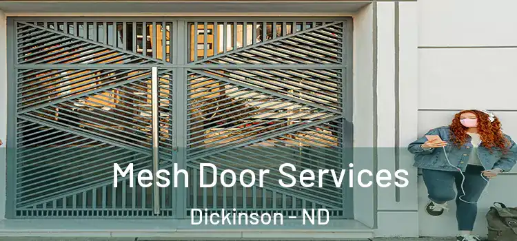Mesh Door Services Dickinson - ND