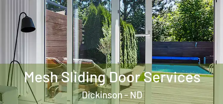 Mesh Sliding Door Services Dickinson - ND